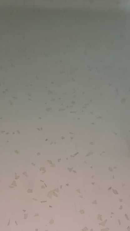 Cute Duck Night Light